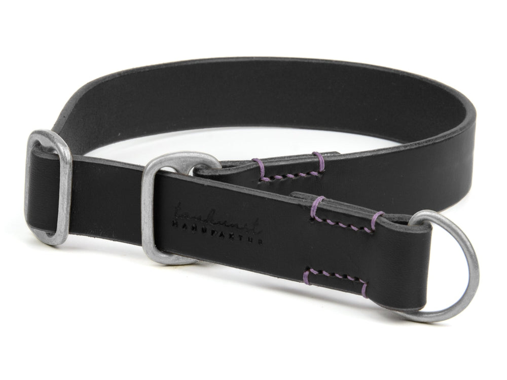 Schwarzledernes Zugstopp-Halsband mit silbernen Beschlägen und D-Ring im modernen Design für Hunde.