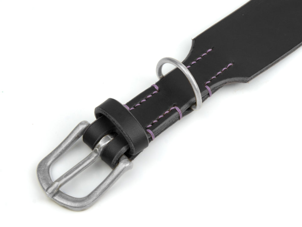Schwarzes Lederhalsband mit silberner Schnalle und lila Nähten, ideal für stilbewusste Vierbeiner.