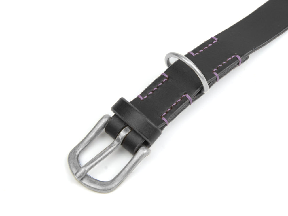 Schwarzes Lederhalsband mit silberner Schnalle und lila Nähten, perfekt für stilvolle Auftritte.