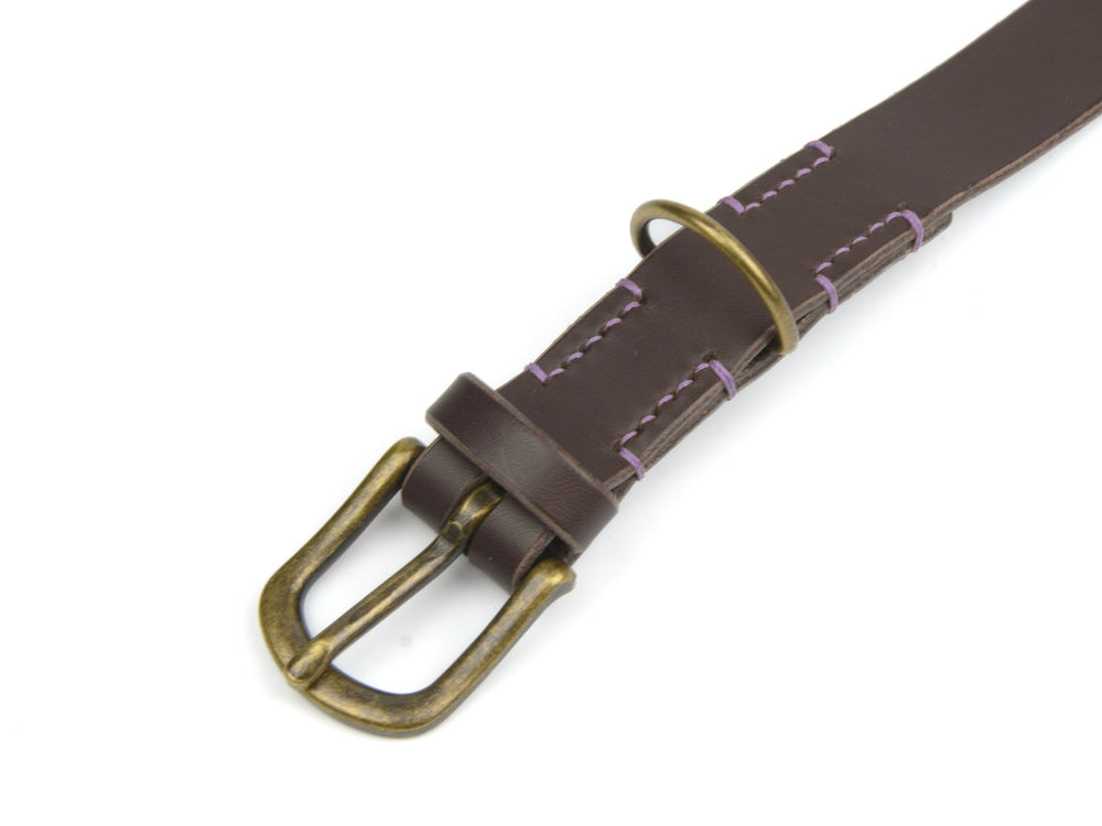 Braunes Lederhalsband "Waldgeist" mit bronzefarbener Schnalle und lila Naht für stilvolle Haustiere.
