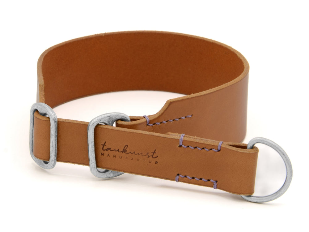 "Braunes Lederhalsband mit lila Nähten und Metallbeschlägen, elegant und schlicht, ideal für stilvolle Hunde."