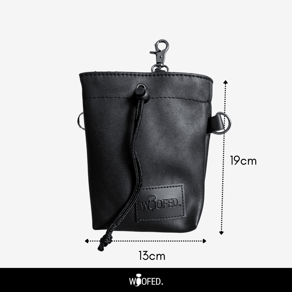 Schwarze Leder-Tasche mit Kordelzugverschluss, Karabinerhaken und zwei Ringen, ideal für Leckerlis und Zubehör.