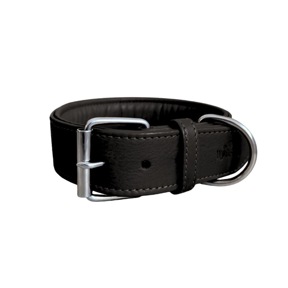 Schwarzes, gepolstertes Lederhalsband mit metallischer Schnalle und D-Ring, schlicht und elegant gestaltet.