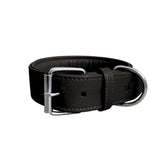 Schwarzes, gepolstertes Lederhalsband mit metallischer Schnalle und D-Ring, schlicht und elegant gestaltet.