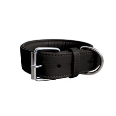 Schwarzes, gepolstertes Lederhalsband mit metallischer Schnalle und D-Ring, schlicht und elegant gestaltet.