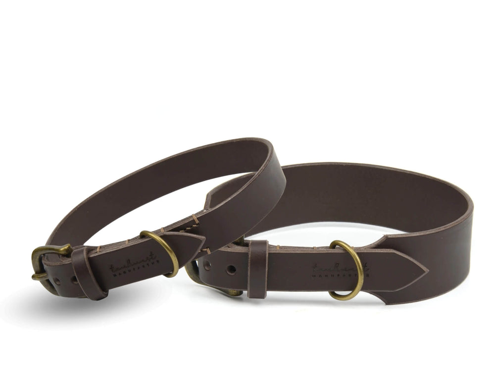 Braune Lederhalsbänder für Hunde mit goldener Schnalle und D-Ring, schlicht und elegant im Design.