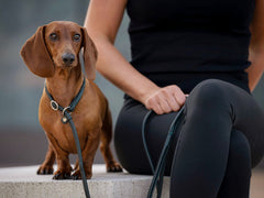 Brauner Dackel steht aufmerksame neben einer Person in Schwarz, mit grüner Leine im Freien.