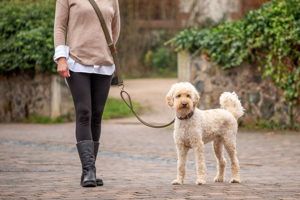 Person mit Hund an umhängeleine, beigefarbener Pullover, weiße Bluse, schwarze Leggings im Freien.