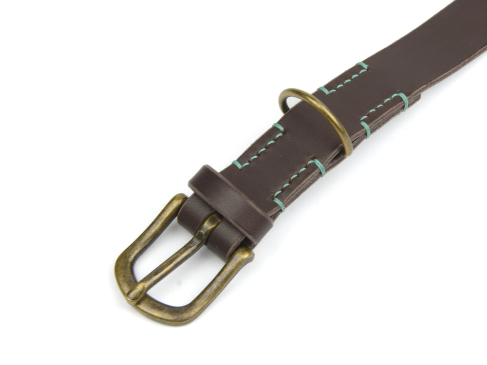 Brauner Lederhalsband mit goldfarbener Schnalle und grünen Nähten für stilvolle Hunde. Ideal für Waldspaziergänge.
