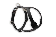 Schwarzes, verstellbares Hundegeschirr aus Leder mit D-Ring und Schnalle für einfaches Anlegen.