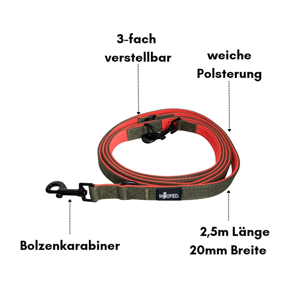 "Bequeme 2,5 m lange Nylon Classic Führleine für Hunde, dreifach verstellbar und gepolstert für optimalen Tragekomfort."
