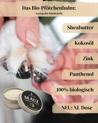 "MAUL Bio Pfotenbalsam in runder Dose, gehalten von einer Hand, mit Zutaten wie Sheabutter und Kokosöl."