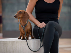 Frau in schwarzem Outfit sitzt auf Betonbank, ihr Dackel schaut aufmerksam nach vorne, Leine in grün.