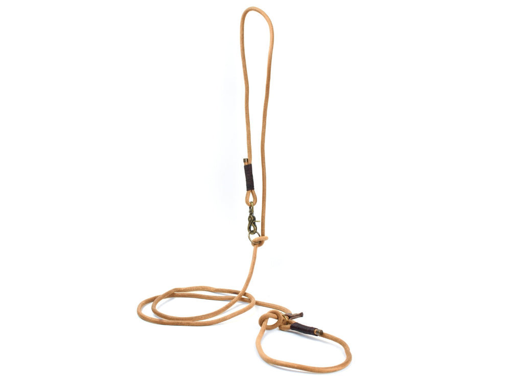 Helle Rundlederleine für Hunde mit schlanker Form und Karabinerhaken zur Befestigung am Geschirr oder Halsband.