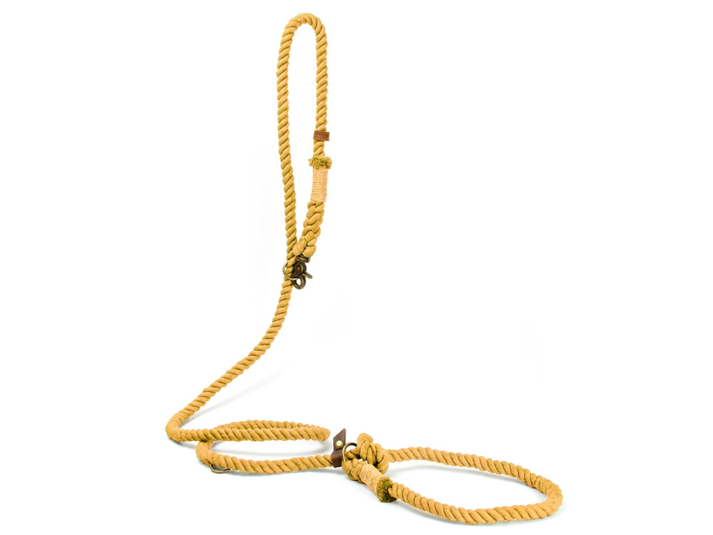 Helle, geflochtene Retrieverleine 'Ahoi' in Senfgelb mit Schlaufe und Haltegurt für sicheren Tiertransport.