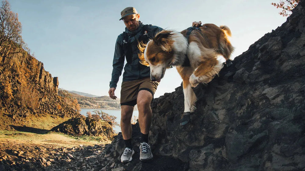 Mann in Wanderbekleidung spielt mit Hund auf felsigem Terrain in der Natur, während er Ridgeline™ Schuhe trägt.