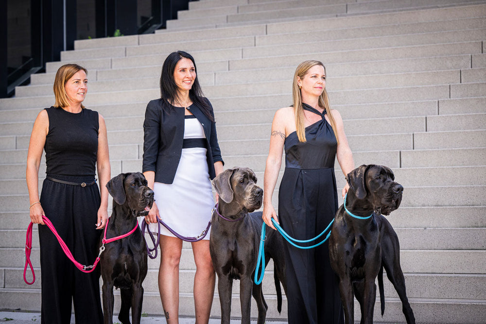 Drei Frauen in eleganten Outfits mit großen Hunden auf Leinen stehen gemeinsam auf einer Treppe.