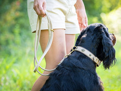 Person in Shorts hält 2m Lederleine mit Bergblumenmuster, schwarzer Hund sitzt brav daneben.