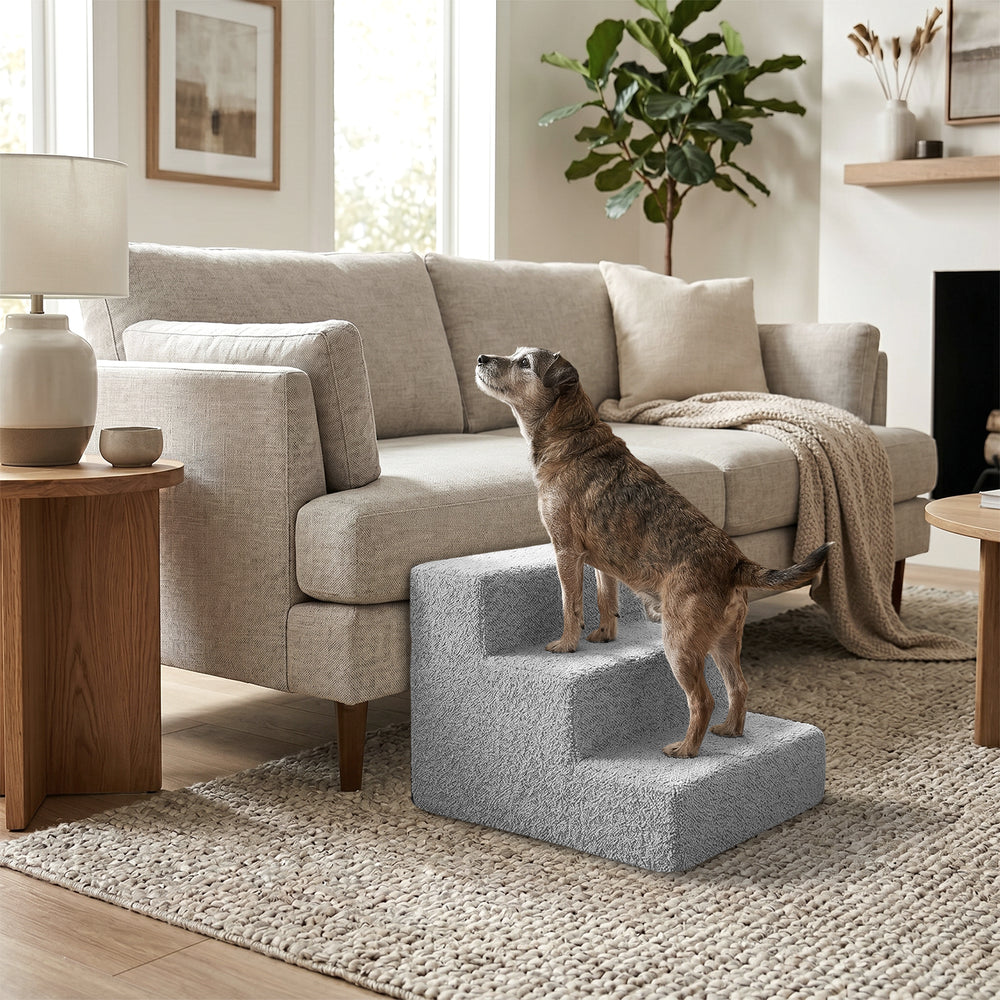 Hund auf der Nubosteps Bouclé Haustiertreppe in einem modernen Wohnzimmer mit hellen Möbeln und großen Fenstern.
