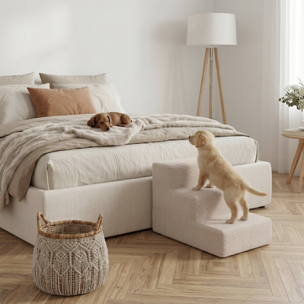 "Stylisches Schlafzimmer mit Hund auf Bett und Nubosteps Haustiertreppe für leichten Zugang."