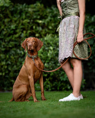 Brauner Hund mit Halsband Zillertal sitzt neben einer Person in gehäkeltem Kleid auf grüner Wiese, umgeben von Sträuchern.