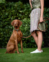 Brauner Hund mit Halsband Zillertal sitzt neben einer Person in gehäkeltem Kleid auf grüner Wiese, umgeben von Sträuchern.