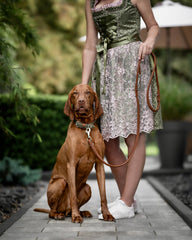 "Frau im traditionellen Kleid hält eine braune Hundeleine, während ihr Hund ruhig auf einem gepflasterten Weg sitzt."