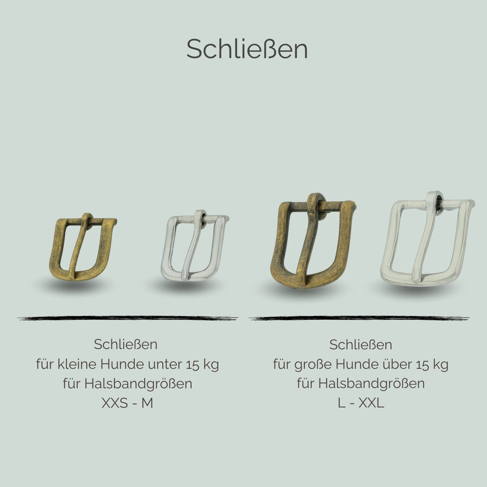 Übersicht von Hundehalsband-Schließen in Silber und Bronze für kleine Hunde bis 15 kg, Größen XXS bis M.