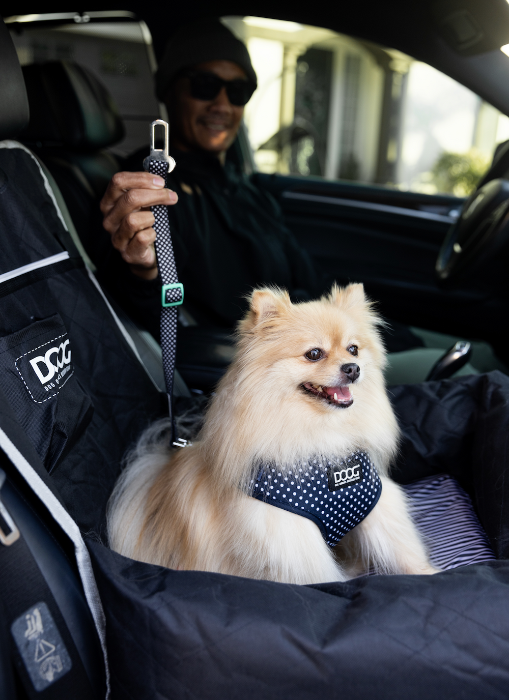 Hund im Autositz mit gepolstertem Geschirr, fröhlich auf Schutzhülle sitzend, Person im Hintergrund.