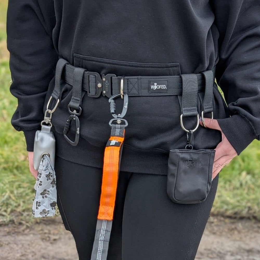 Gassigürtel Joggingleine Bundle für komfortable Hundespaziergänge mit ergonomischem Gürtel und Bungee-Leine.