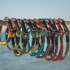 Bunte geflochtene Hundeleinen mit Lederbeschlägen, ordentlich zum Verkauf aufgereiht.