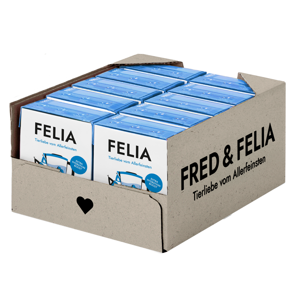 FELIA Smoothie Fisch Verpackungen im hellblauen Design von FRED & FELIA auf einem Karton.