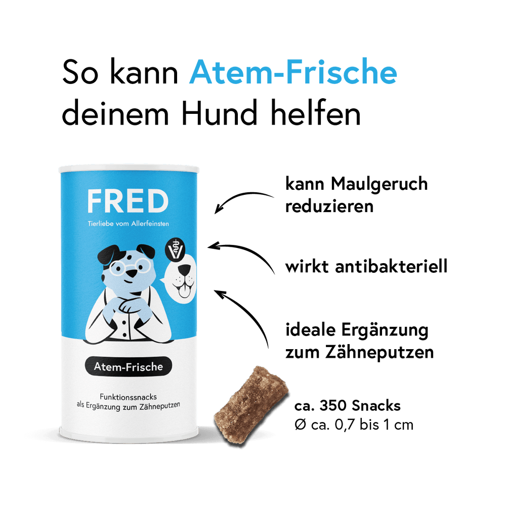 Funktionssnack Atem-Frische für Hunde zur Reduzierung von Maulgeruch mit antibakterieller Wirkung von Minze und Eukalyptus.