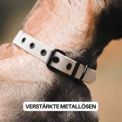 "Verstellbares WOOFLEX® Classic Halsband für Hunde mit verstärkten Metallösen und robuste Schnalle."