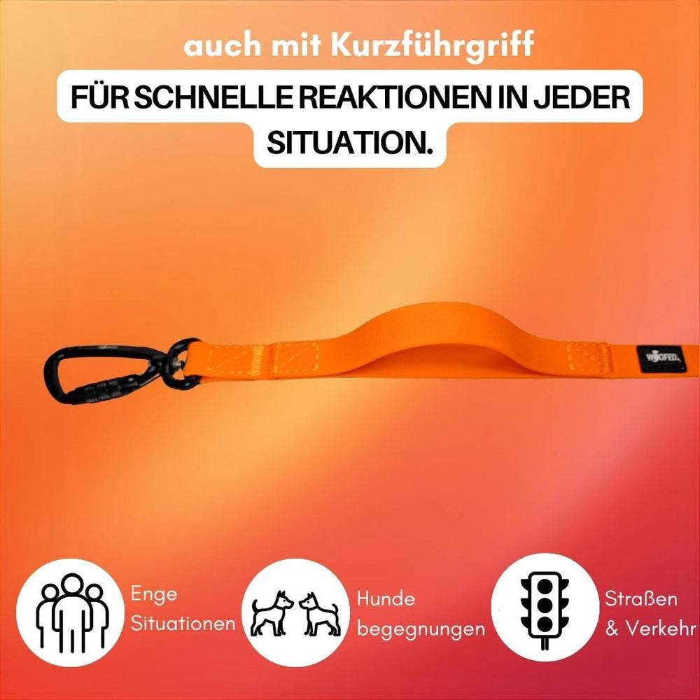 Orangefarbenes Hundehalsband mit Kurzgriff für schnelle Reaktionen und Sicherheit, mit drei erklärenden Piktogrammen.