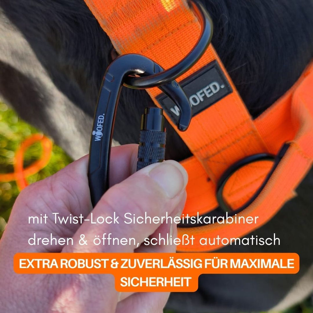 Schwarzer Twist-Lock Sicherheitskarabiner an orangefarbenem Hundegeschirr für maximale Sicherheit beim Spaziergang.
