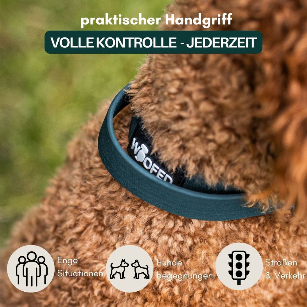 Halsband WOOFLEX® mit Froschkarabiner und Handgriff für besseren Halt und Kontrolle des Hundes in verschiedenen Situationen.