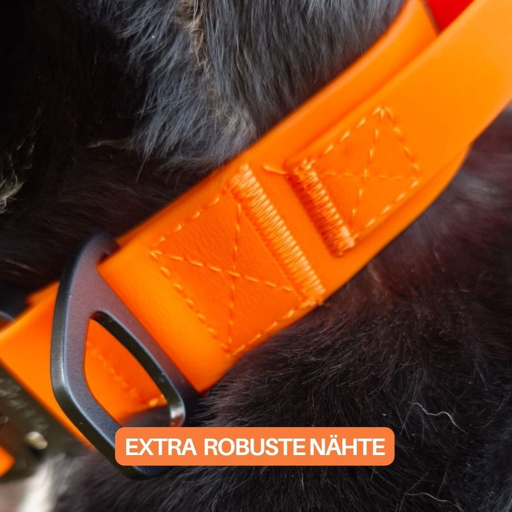 Verstellbares orangefarbenes Hundehalsband WOOFLEX® mit robusten Nähten, getragen von einem schwarzen Hund.
