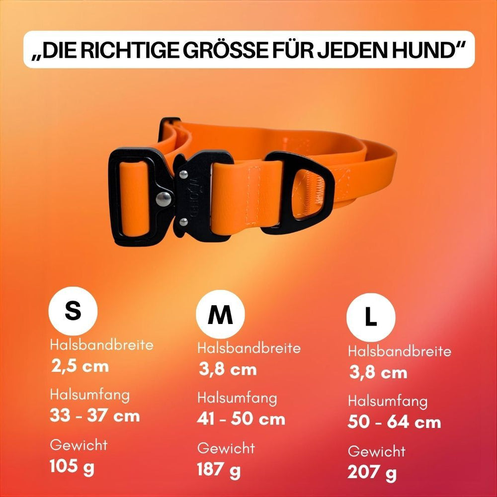 "Verstellbares WOOFLEX® Hundehalsband mit Froschkarabiner in leuchtenden Farben, erhältlich in S, M und L Größen."
