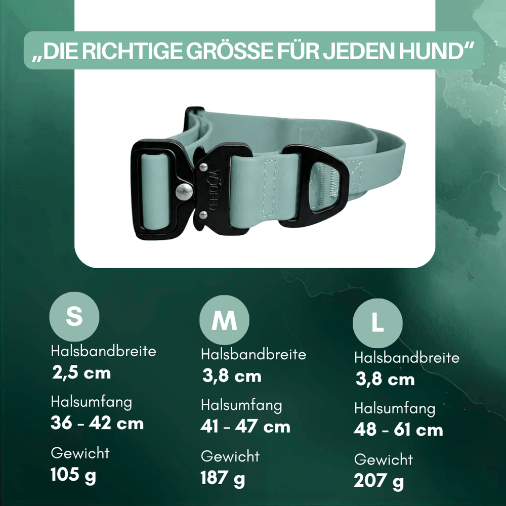 Verstellbares WOOFLEX® Hundehalsband in mintgrün und schwarz, erhältlich in S, M, L – ideal für jeden Hund.