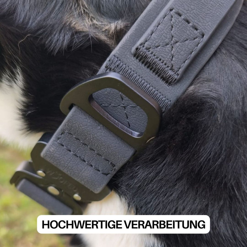 Verstellbares WOOFLEX® Hundehalsband mit robustem Froschkarabiner in natürlicher Umgebung.