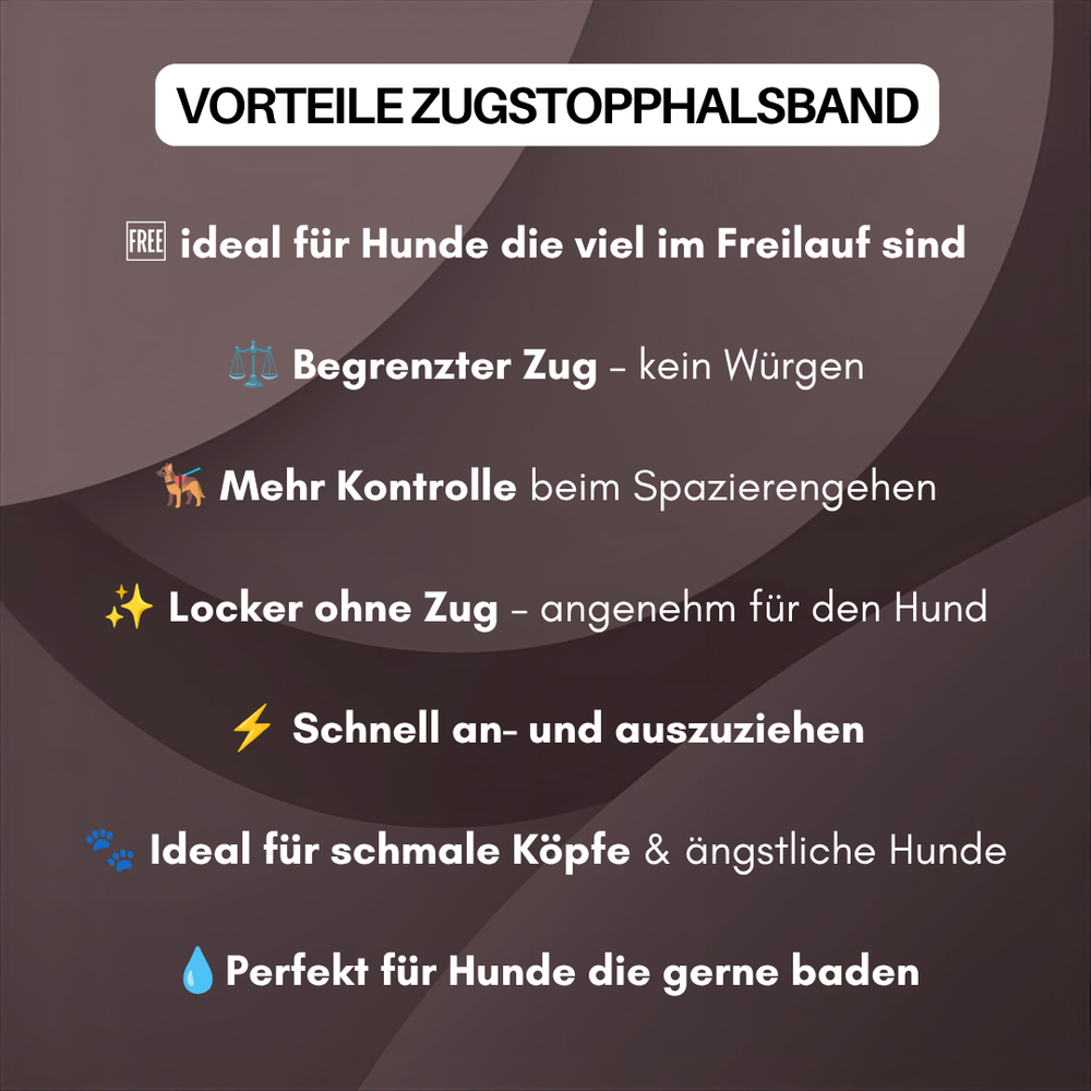Vorteile des WOOFLEX® Zugstopphalsbands für Hunde: ideal für Freilaufhunde, schützt vor Würgen, verbessert die Kontrolle.