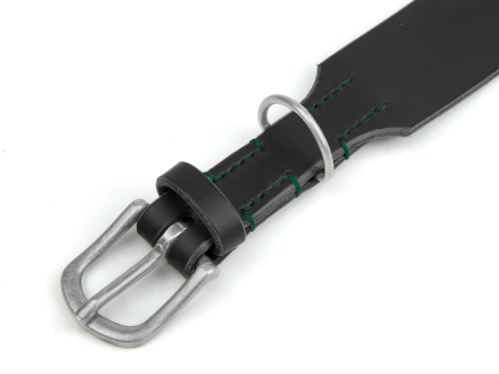Schwarzes Lederhalsband mit silberner Schnalle und grünen Nähten, perfekt für stilbewusste Haustiere.