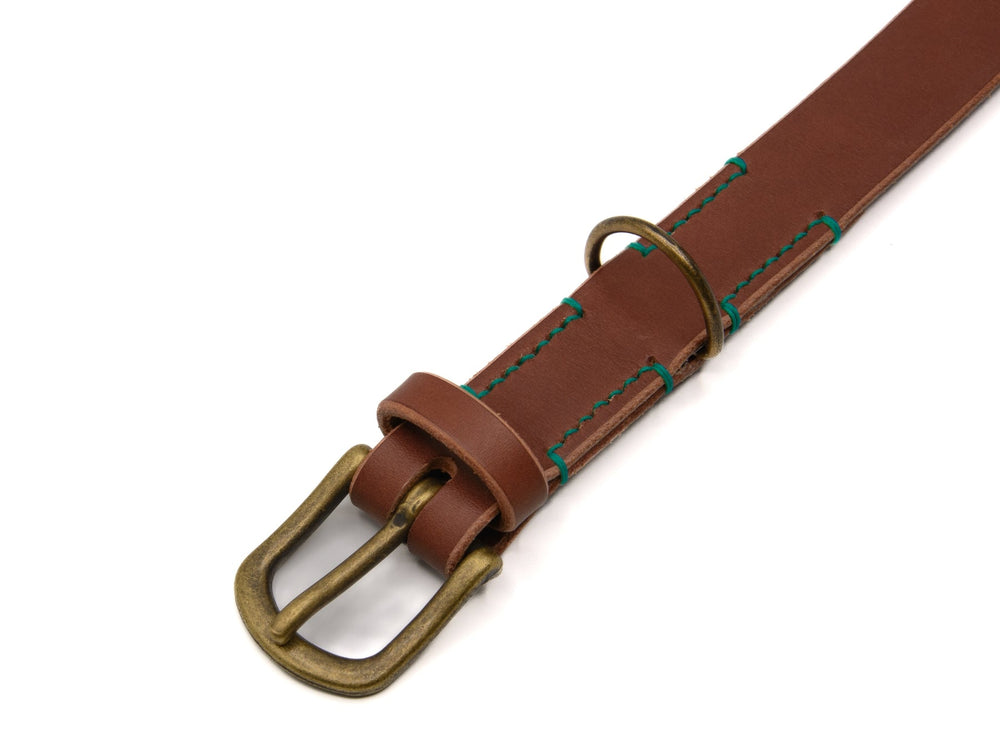 Brauner Lederhalsband "Waldgeist" mit bronzefarbener Schnalle und grünen Nähten für stilvolle Hundeaccessoires.