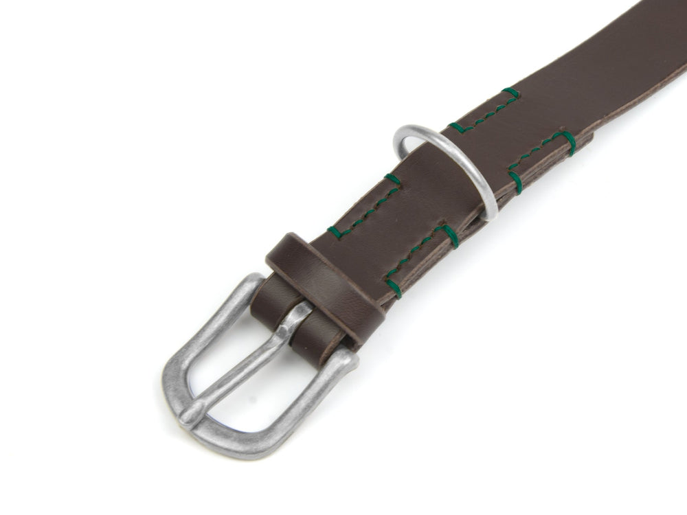 Brauner Lederhalsband mit silberner Dornschnalle und grünen Nähten, ergänzt durch einen Metallring.