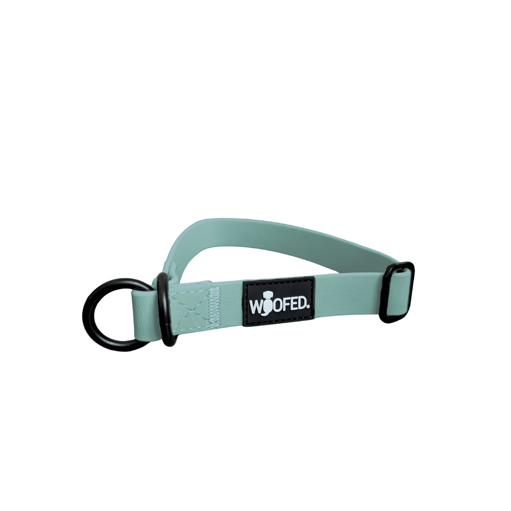 Mintgrünes WOOFLEX® Hundehalsband aus flexiblem Material mit verstellbarer Schnalle und zwei D-Ringen.