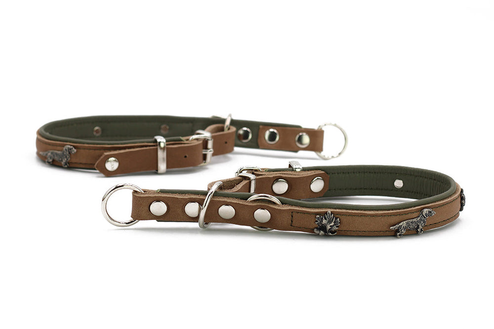 Premium Zugstopp-Halsband für Dackel aus braunem Leder mit grüner Innenseite und silbernen Beschlägen.