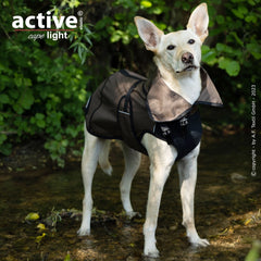 Hund im braunen Mantel steht im Wasser, umgeben von grünen Pflanzen, ideal für aktive und modebewusste Haustiere.
