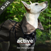 Hund im braunen Übergangs-Mantel mit hohem Kragen in grüner Umgebung.