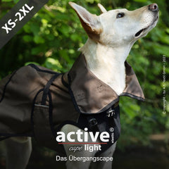 Hund im braunen Übergangs-Mantel mit hohem Kragen in grüner Umgebung.